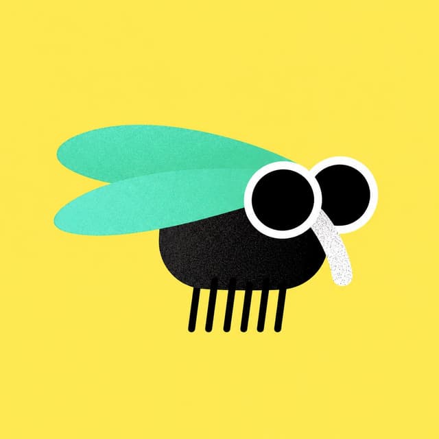 FlyBook fly